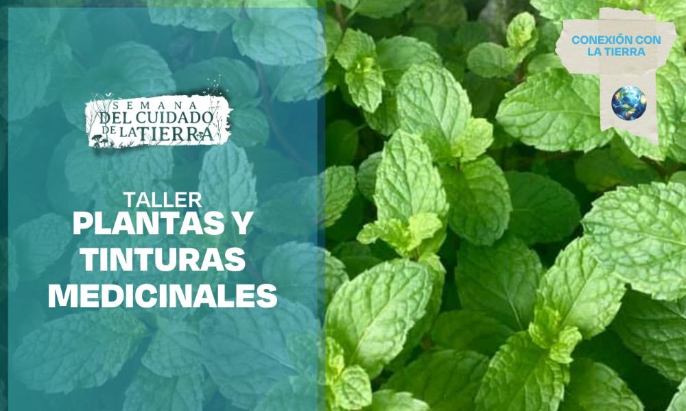 Algo salió mal...