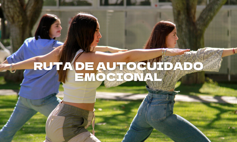 Algo salió mal...