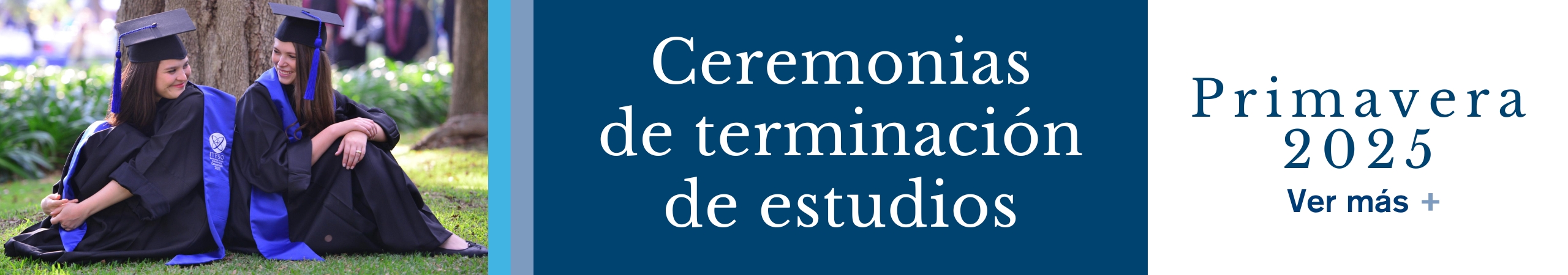 Imagen Móvil